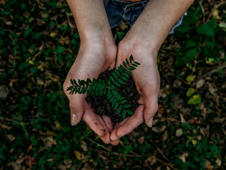 Centrum získalo prestižní grant GAČR EXPRO – Cesty k environmentální udržitelnosti