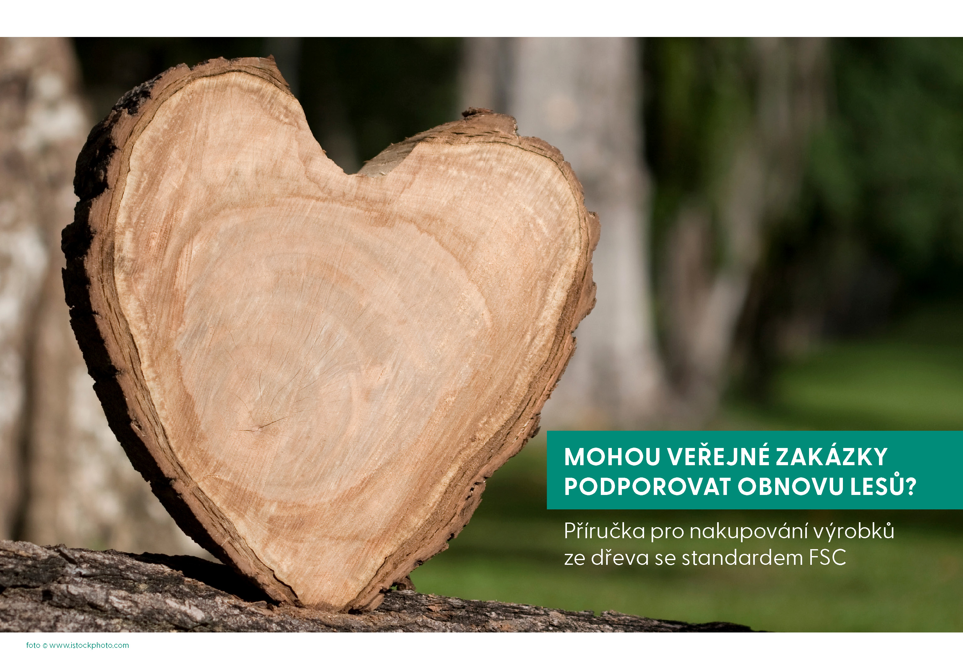 Mohou veřejné zakázky podporovat obnovu lesů? Příručka pro nakupování výrobků ze dřeva se standardem FSC